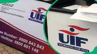 UIF cancellation online procedure: What you ought to know