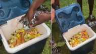 Video of party peeps mixing 4 types of booze in cooler box leave SA concerned over their concoction