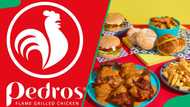 Pedros menu and prices in South Africa (updated for 2025)