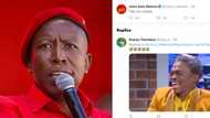 Malema tells KZN judges to 'voetsek', Mzansi responds