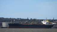 Russia's oil revenue sinks as price cap bites: IEA