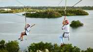 What is the longest zipline in South Africa? Top 10 list (with images)