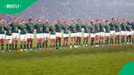 Springboks vs Scotland hit by Loftus suite revolt as 75% of boxes face being empty