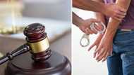 2 Pakistani nationals appear in court after the gruesome murder and dismemberment of Limpopo teacher