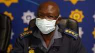 Gauteng SAPS chief claims no early warning signs prior to July unrest: 'We are lacking'