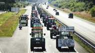 Dutch farmers protest livestock cuts to curb nitrogen
