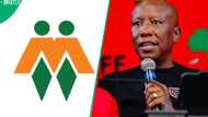 EFF challenges AfriForum’s crimen injuria prosecution against Julius Malema