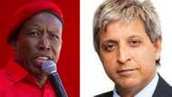 Malema lashes out at Habib for comparing tea to Nazi Soviet pact