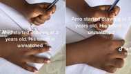 Left-handed Mzansi toddler drawing since 3 completes elephant sketch in 30 seconds, TikTok with 1.8M view impresses SA