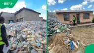 Floor-to-ceiling bottles spilling over walls? Gauteng yard shocks SA