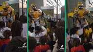 Bumblebee mascot entertains kids at Blueberry Beacon with fire dance moves to 'Mnike'