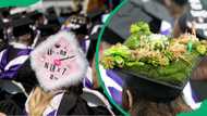 30 Coolest graduation cap ideas that will make you shine on your bright day