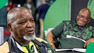 Gwede Mantashe blames Jacob Zuma and MK Party for ANC's poor showing during national elections