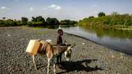Alarm mounts over escalating Ethiopia-Sudan border tensions