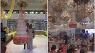 See packaging: Guests cheer as wedding cake descends from 'Heaven' for couple to cut, video stirs reactions