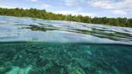 Indonesian islanders sue cement giant Holcim over climate damage