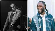 Burna Boy wins Grammy for 'Twice as Tall' in Best Global Album category