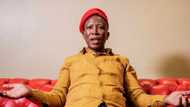 Julius Malema exposes online impersonator and asks for Mzansi’s help to report the fake account