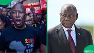 ‘You should have locked them up’: Malema grills Ramaphosa over anti-foreigner protests