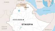 Ethiopian and Eritrean forces seize key Tigrayan city, say rebels