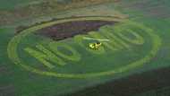 Brussels looks to relax curbs on genetically modified crops