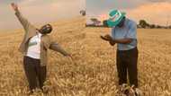 Female farmer praised for beautiful wheat crops: "You always inspire"