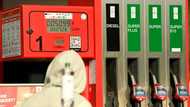 Inflation 'shock' punishes Eurozone economy in June: survey