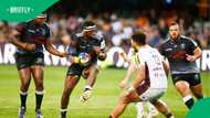 Sharks replace iconic logo as club confirms name change ahead of 2026/27 URC season