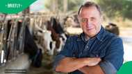 "This calls for a protest": Higher prices loom as dairy farmers face price cuts, SA aggrieved