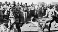 Twitter users reflect on Human Rights Day and the Sharpeville Massacre