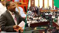 “We can take this fight further”: Nigerian senator Abdul Ningi warns SA in viral clip
