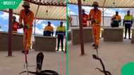 "4 Bricks, problem solved": Mzansi reacts as course shows safe way to handle deadly snakes