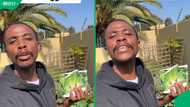 "I love these growing tips": SA gardener shares 5 veggies South Africans should plant in winter
