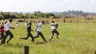 Principal under fire over allegations he struck and swore at Grade 7 pupil during rugby match