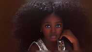 Jare Ijalana bio: age, family, education, career, images