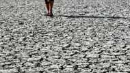 Water-stressed Iraq dries up fish farms