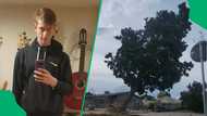 "Nothing to be proud of": George man recording massive tree's fall in storm angers South Africa