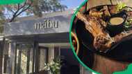 Mábu Restaurant's menu and prices in Midrand (updated for 2025)