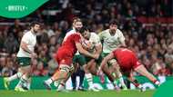 DStv scores big as rugby giants align for blockbuster 2026 coverage