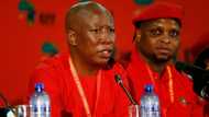 Malema calls SANEF out for alleged comments, forum denies claims