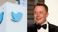 Elon Musk named sole director of Twitter board after firing 9 members: netizens dub him “brilliant”