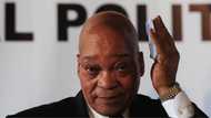 Zuma avoided potential loss of lives by submitting to 'rule of law losing its power'