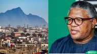 "You've been in power since 1994": Fikile Mbalula roasted over Cape Town informal settlement post