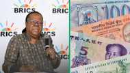 Brics summit to focus on moving away from Western and US dollar reliance says Minister Pandor