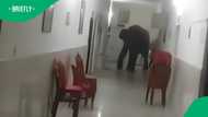 Elephants casually walk into hospital in TikTok video, viewers crack jokes