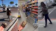 TikTok prank of man pretending to hand over pet snake to strangers goes TikTok viral with 1.6M views