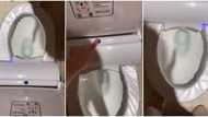 Social media reacts to video of fine toilet seat that brings out nylon from its side