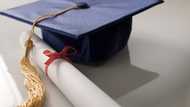 All about the GPG Professional Job Centre registration