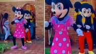 Video of Minnie and Mickey Mouse dancing to a deep house track has Mzansi amused: “Southy is not a real place”