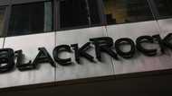 US House panel probes BlackRock, MSCI on China investment flow